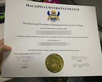Read more about the article Malaspina University College diploma, buy Canadian degrees