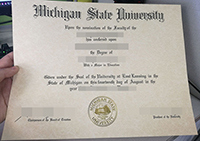 Read more about the article Michigan State University diploma, buy MSU degree in USA