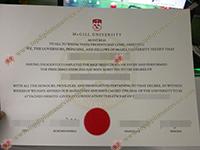 Read more about the article Buy bachelor degree in McGill University, buy a fake degree