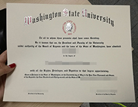Fake Wsu Id
