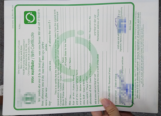 Read more about the article Make a birth certificate from Punjab India, buy birth cert.