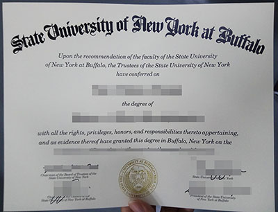 Read more about the article Where to buy a State University of New York diploma?