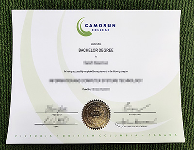 Read more about the article How Can I Get A Bachelor Degree From Camosun College?