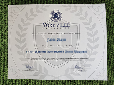 Read more about the article The Secrets To Buy Yorkville University Fake Diploma.