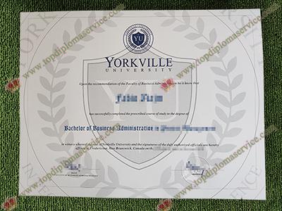 Read more about the article The Secrets To Buy Yorkville University Fake Diploma.