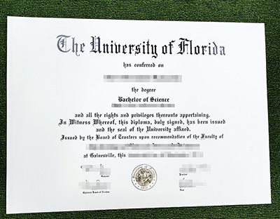 Read more about the article Want A Fake University of Florida Diploma? Read This!