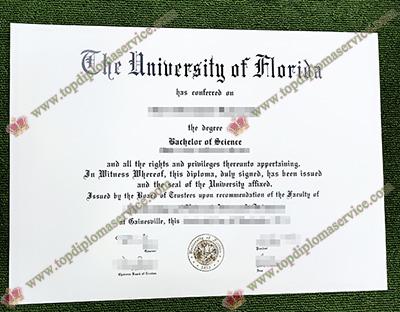 Read more about the article Want A Fake University of Florida Diploma? Read This!