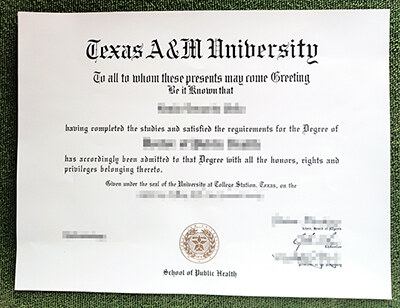 Read more about the article Best Tactic to Get A Texas A&M University Diploma in One