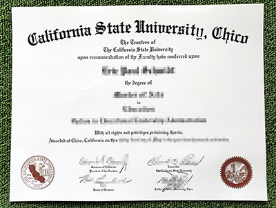 Read more about the article Practical Guide to Order Fake CSU Chico Diploma