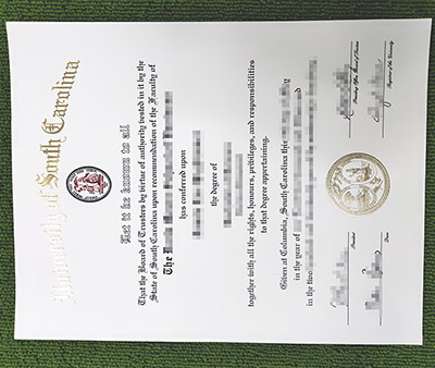 Read more about the article A Fake University of South Carolina Diploma Makes Your Work