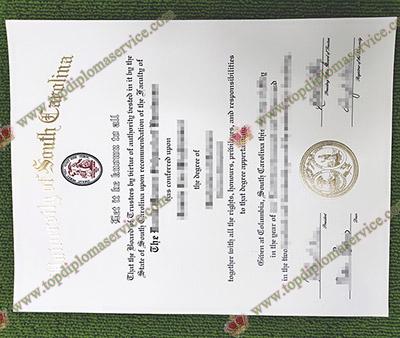 Read more about the article A Fake University of South Carolina Diploma Makes Your Work