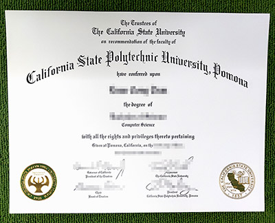 Read more about the article How Can I Duplicate A Cal Poly Pomona Diploma in Computer Sc