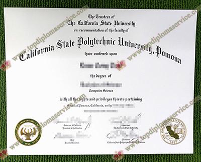 Read more about the article How Can I Duplicate A Cal Poly Pomona Diploma in Computer Sc