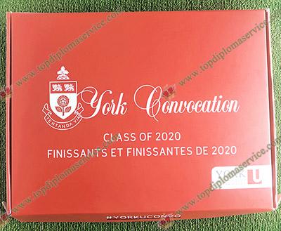 Read more about the article Amazing Way to Get Fake York University Diploma With Cover