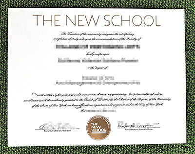 Read more about the article Best Price to Order A Fake New School Diploma in USA
