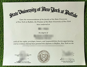 Read more about the article Useful Tips to Order Fake SUNY Buffalo Diploma