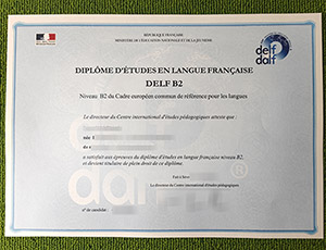 Read more about the article Where Can I Purchase A Fake DELF B2 Certificate