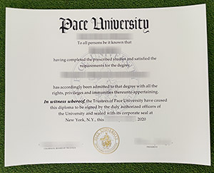 Read more about the article How to Create A Fake Pace University Degree for Job Purpose