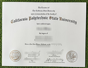 Read more about the article Ideas to Help You Get Cal Poly Certificate Easier