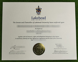 Read more about the article How to Buy A Fake Lakehead University Degree in 10 Days