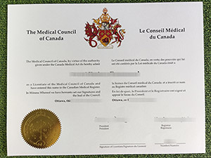Read more about the article Tactics To Get Fake Medical Council of Canada Certificate