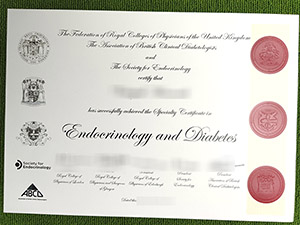 Read more about the article How to order a fake Endocrinology and Diabetes certificate