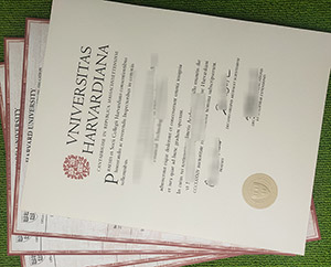Read more about the article How to make full set of fake Harvard University diploma transcript