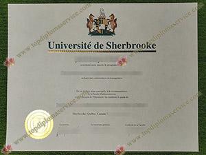 Read more about the article Most Popular Way to Get A Université de Sherbrooke Diplome