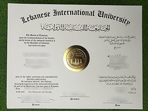 Read more about the article Best Tip Ever: Get Fake LIU Diploma Easily in Lebanon