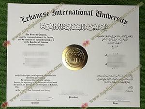 Read more about the article Best Tip Ever: Get Fake LIU Diploma Easily in Lebanon