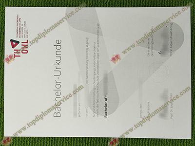 fake TH OWL diploma, Technical University of Ostwestfalen-Lippe diploma,