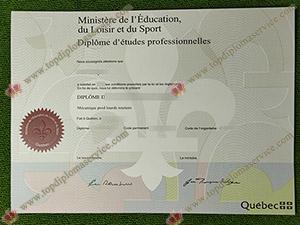 Read more about the article What can I use a fake Quebeck diploma of professional studies