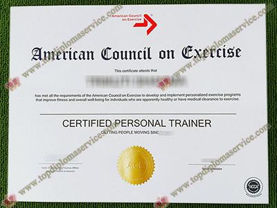 Read more about the article How muc it costs to get a fake ACE certificate