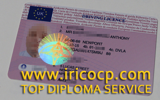 Driving licence diploma, make licences for driving 