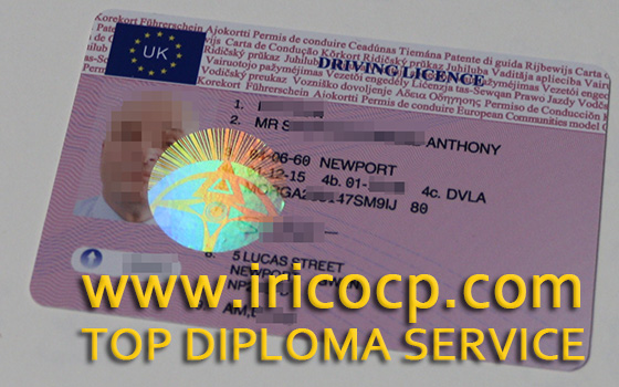 Driving licence diploma, make licences for driving Driving licence diploma, make licences for driving