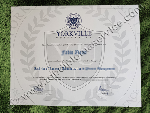 Yorkville University degree, Yorkville University diploma