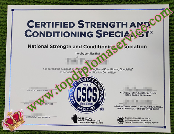 CSCS license, CSCS certificate, Certified Strength and Conditioning Specialist certificate