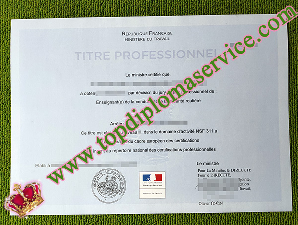 titre professionnel certificate, titre professionnel qualification, Ministere du Travail certificate,