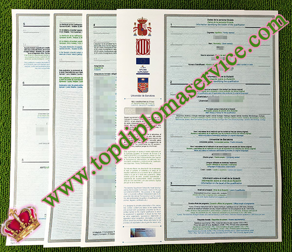 University of Barcelona transcript, Universitat de Barcelona transcript, fake Spanish diploma supplement,