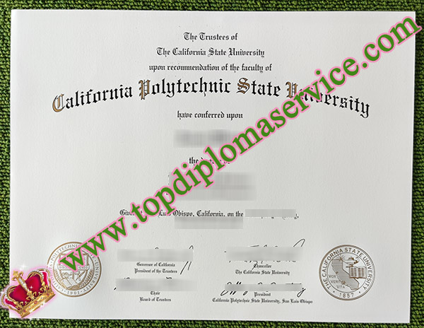 California Polytechnic State University degree, CPSU diploma, Cal Poly certificate, 加州理工大学文凭,