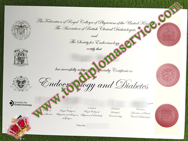 endocrinology and diabetes certificate, fake RCP(UK) certificate, fake ABCD certificate,