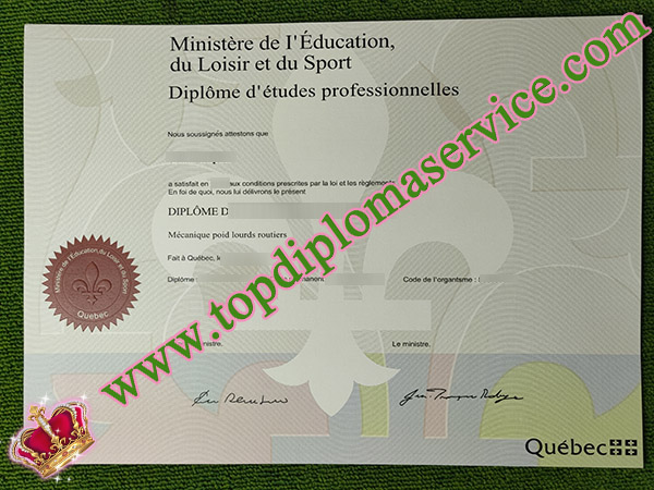 fake Quebeck diploma of professional studies