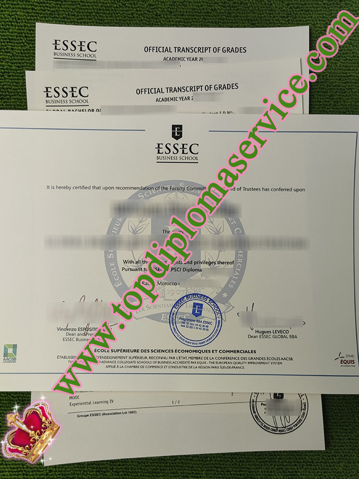 fake ESSEC Business School diploma