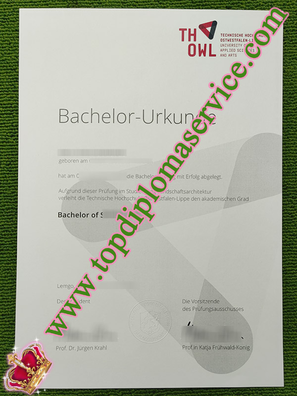 fake TH OWL diploma, Technical University of Ostwestfalen-Lippe diploma,