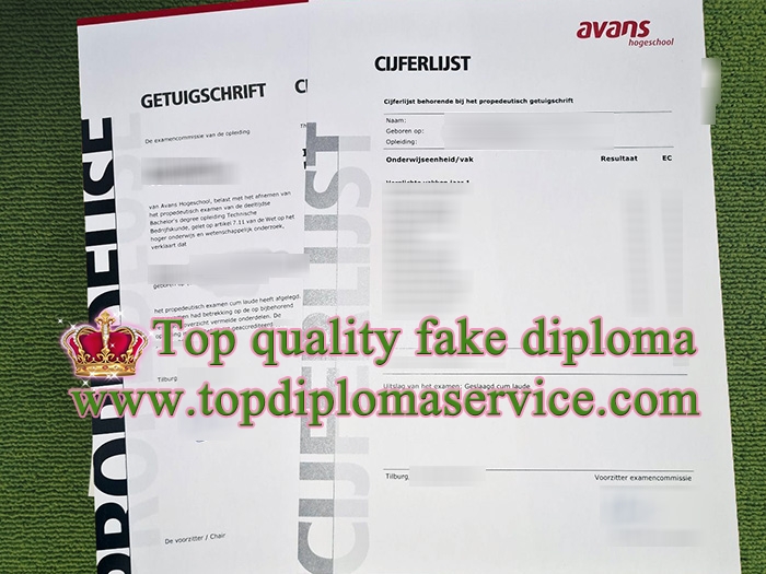 AVANS Hogeschool getuigschrift, AVANS Hogeschool diploma, AVANS Hogeschool transcript,