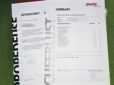 Read more about the article Tips to make fake AVANS Hogeschool diploma with transcript