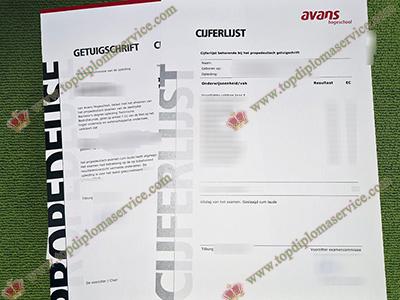 AVANS Hogeschool getuigschrift, AVANS Hogeschool diploma, AVANS Hogeschool transcript,