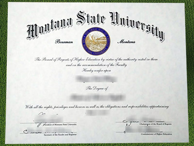 Read more about the article Double your results with a fake Montana State University diploma