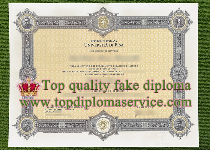 Università di Pisa diploma, fake University of Pisa diploma,