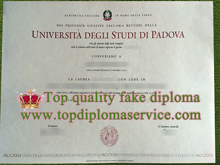 Università degli Studi di Padova diploma, fake University of Padua diploma,